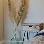 Obidovagorce *