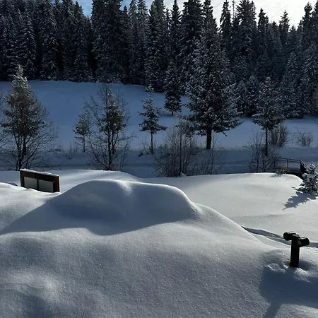 Domek alpejski Obidovagorce
